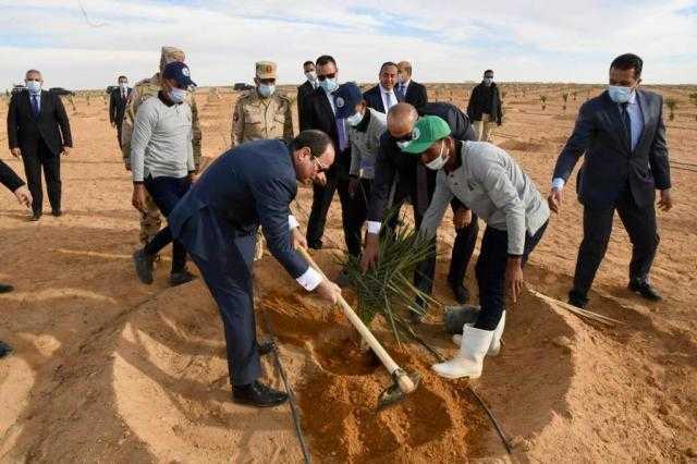 برلماني: مشروع توشكى يحقق التنمية المستدامة في المجال الزراعي