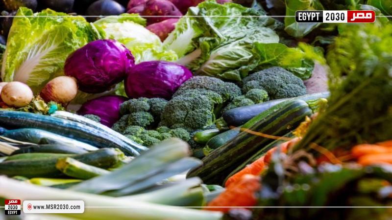 ”بالألوان” الصحة تضع قائمة بالخضروات التي تقوي المناعة في الشتاء الطب والصحة مصر 2030