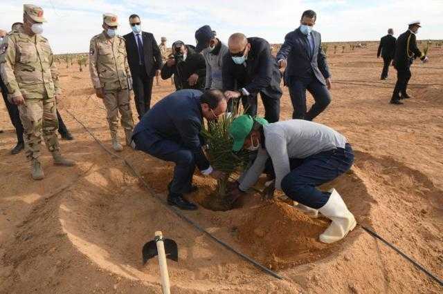 الرئيس يعيد الحياة لتوشكى.. تفاصيل أكبر مشروع استصلاح زراعي في الشرق الأوسط (صور)