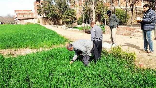 حبس وغرامة مليون جنيه.. تعرف على عقوبة التعدي على الأرضي الزراعية