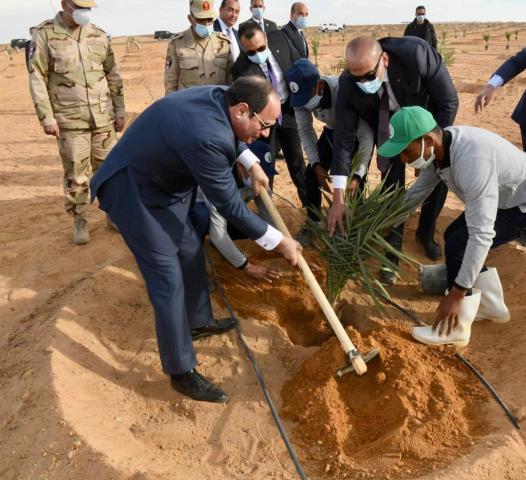 بالتفاصيل.. السيسي يقود إنجازات قطاع الأمن الغذائي والزراعة