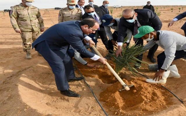 جهود الرئيس السيسي لدعم وتوفير حياة كريمة للفلاح