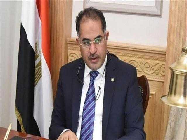 سليمان وهدان: الرئيس السيسي دائما ما يضع استراتيجيات لمواجهة الأزمات