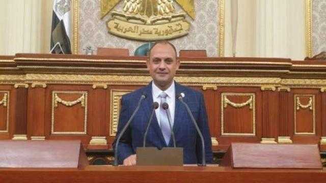 برلماني: قرار الرئيس السيسي بالإفراج عن أكثر من 960 غارمة أسعد الشعب المصري في أول أيام العيد