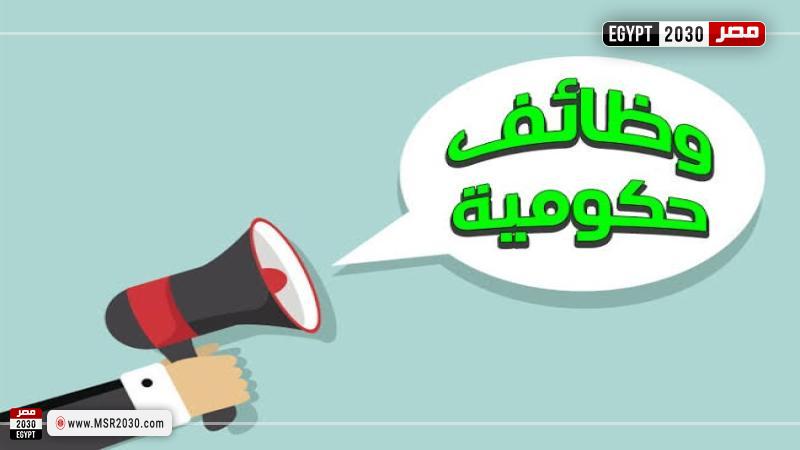 فرص عمل لجميع المؤهلات.. خطوة بخطوة تقدم الآن