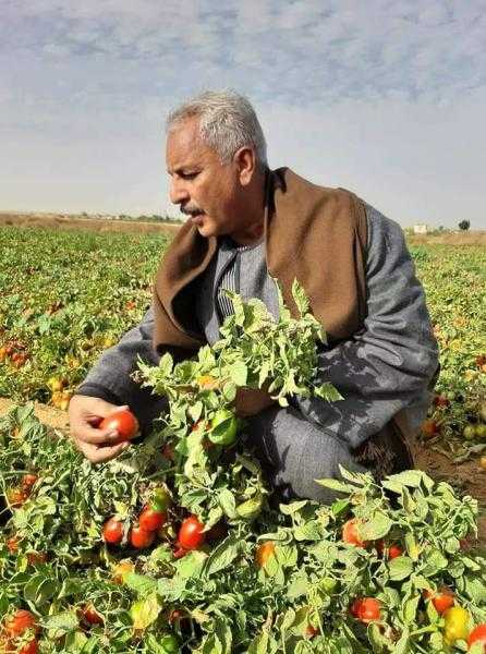 نقيب الفلاحين: غرق أراضي الفلاحين يؤثر على الأمن الغذائي وإهدار للمياه