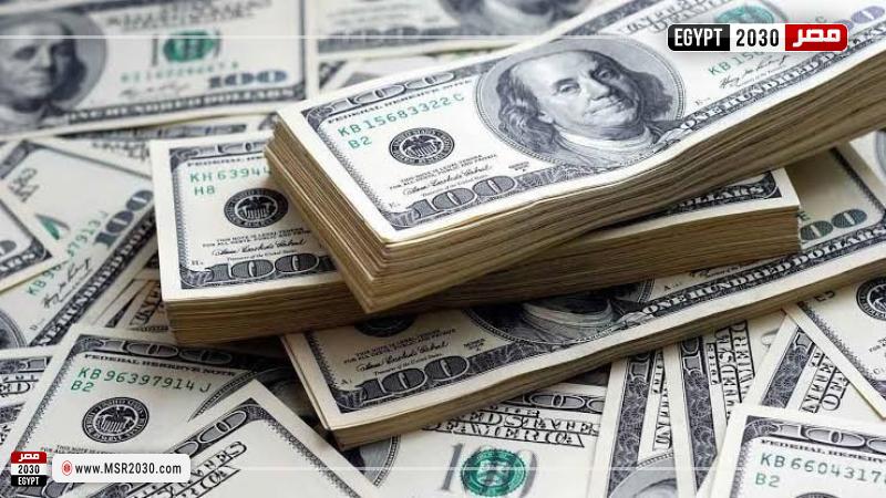 سعر الدولار اليوم في مصر تحديث يومي