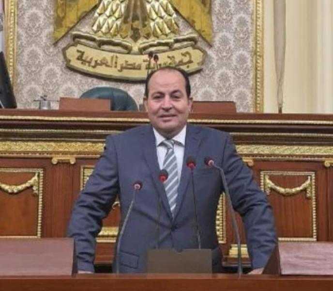 برلماني: الدولة المصرية تسعى جاهدة لتوفير احتياجات الفلاح ودعم البرامج المخصصة له