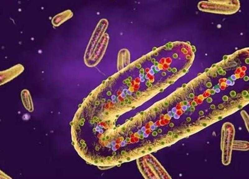 نهاية العالم.. ظهور فيروس خطير ينتقل دون أعراض