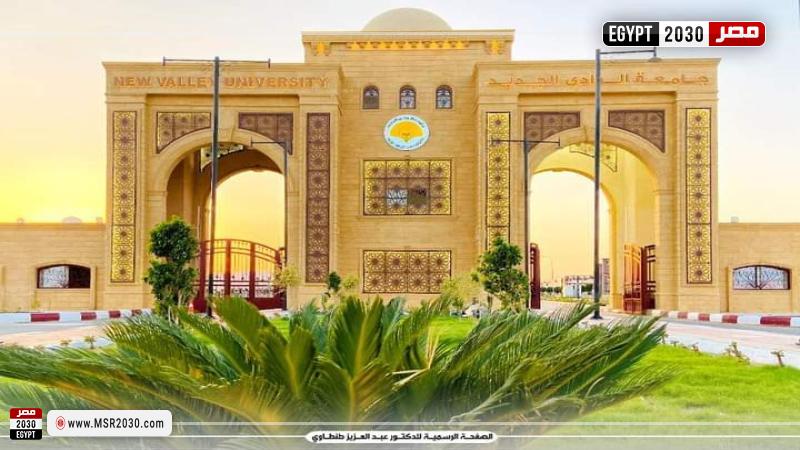 جامعة الوادى الجديد 