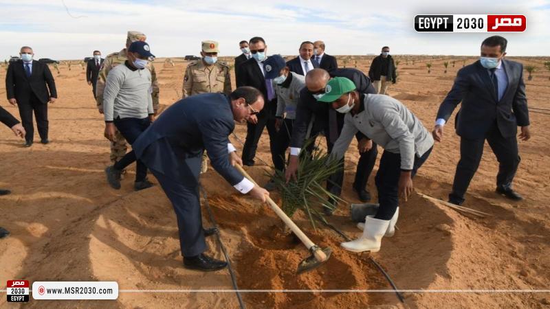 مبادرة 100 مليون شجرة