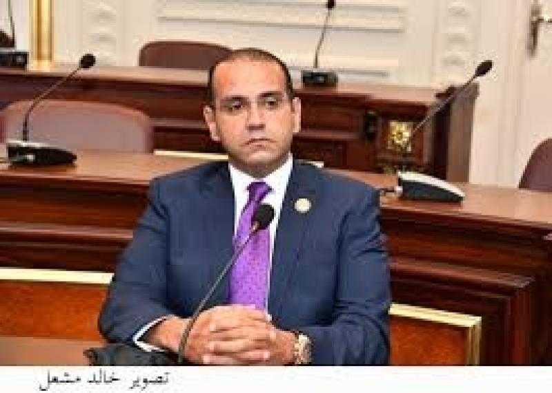 عضو الشيوخ: فوز ﻿مصر برئاسة لجنة الأسواق الناشئة بـ”الأيسكو” تقدير دولي للاقتصاد الوطني