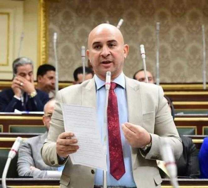 برلماني: دمج المفرج عنهم في المجتمع وعودتهم لأعمالهم  أحد ثمار الحوار الوطني