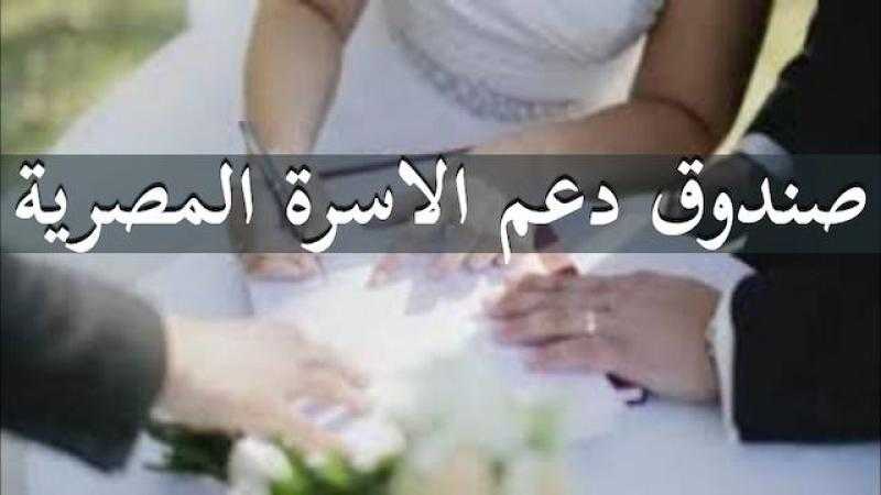 شائعات وأكاذيب حول صندوق الأسرة المصرية الجديد.. وزير العدل يكشف الحقيقة