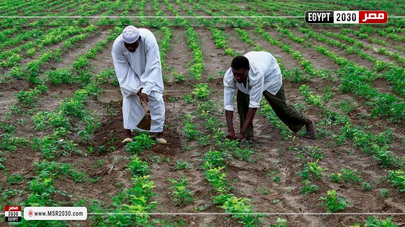 مزارعون سودانيون