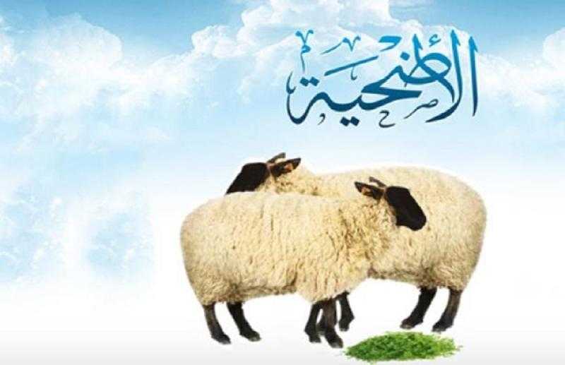 مع اقتراب «عيد الأضحى».. تعرف على قصة الأضحية في الإسلام