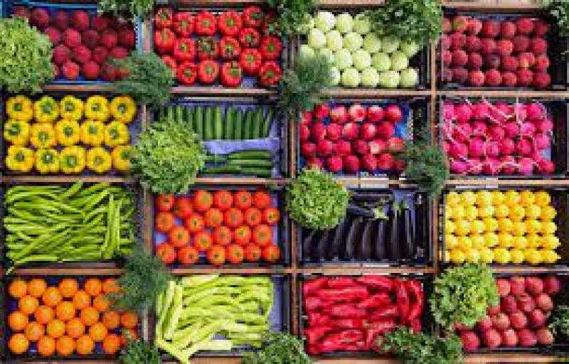 أسعار الخضروات والفاكهة بالأسواق اليوم السبت 17 يونيو 2023