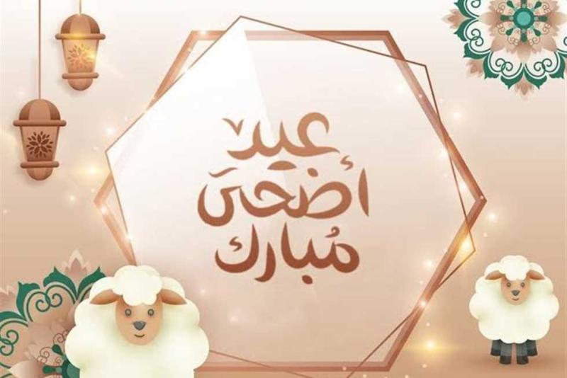 آخر استعدادات الحكومة لعيد الأضحى.. التفاصيل الكاملة