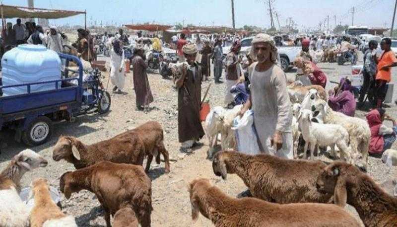 في أول أيام العيد.. معاناة السودانيون في زيادة والأضاحي ناقصة