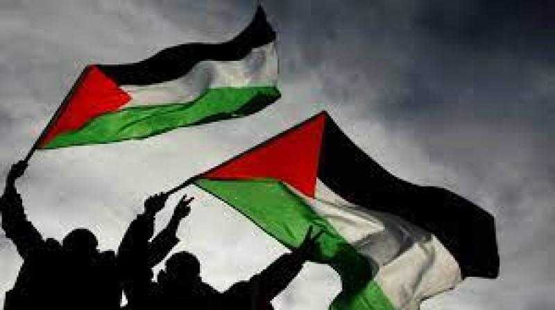 برلماني: المسكنات لن تحل الأزمة الفلسطينية