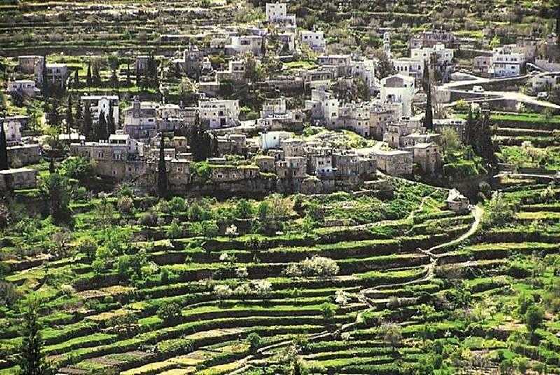 قرية بتير ومقاومة الاحتلال على مر التاريخ.. قصة أول اتفاقية بين فلسطين وإسرائيل