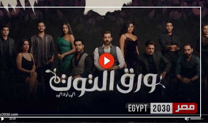 مشاهدة مسلسل ورق التوت الحلقة 13 كاملة HD