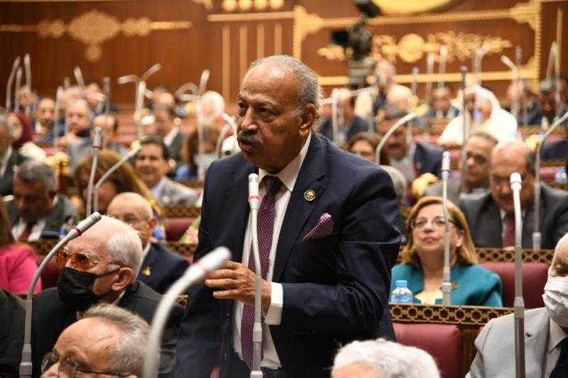 هاني العسال: طوابير المصريين أمام مراكز الاقتراع بالتزامن مع بدء التصويت رسالة للعالم بوحدة الصف المصري