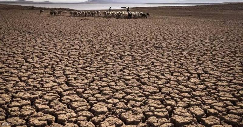 الجفاف يهدد بالعالم.. نقص المحاصيل في البرازيل وأفيال زيمبابوي وأسماك الأمازون في خطر