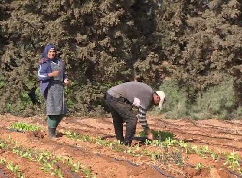 تونس.. تشريعات جديدة من أجل الوصول إلى الأمن المائي