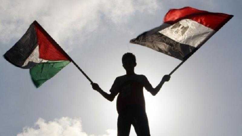 القاهرة تنصر فلسطين في المحافل الدولية.. ونائب برلماني: مصر داعم تاريخي لحقوق الأشقاء