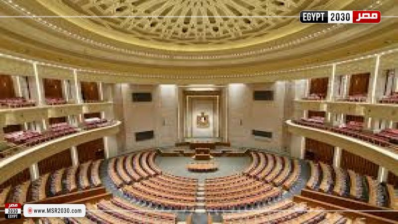 البرلمان المصري الجديد 