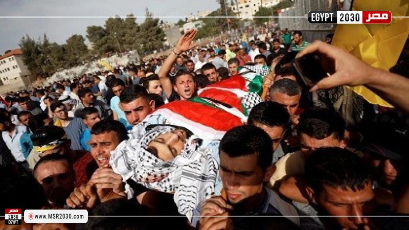 شهداء غزة