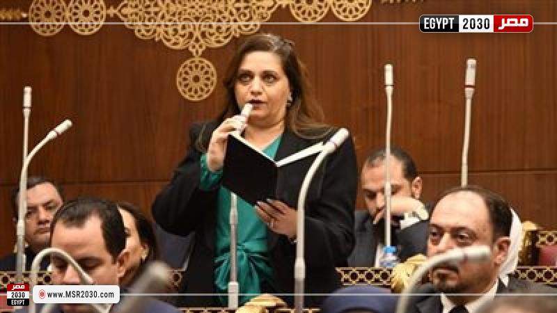 النائبة هيام فاروق، عضو مجلس الشيوخ