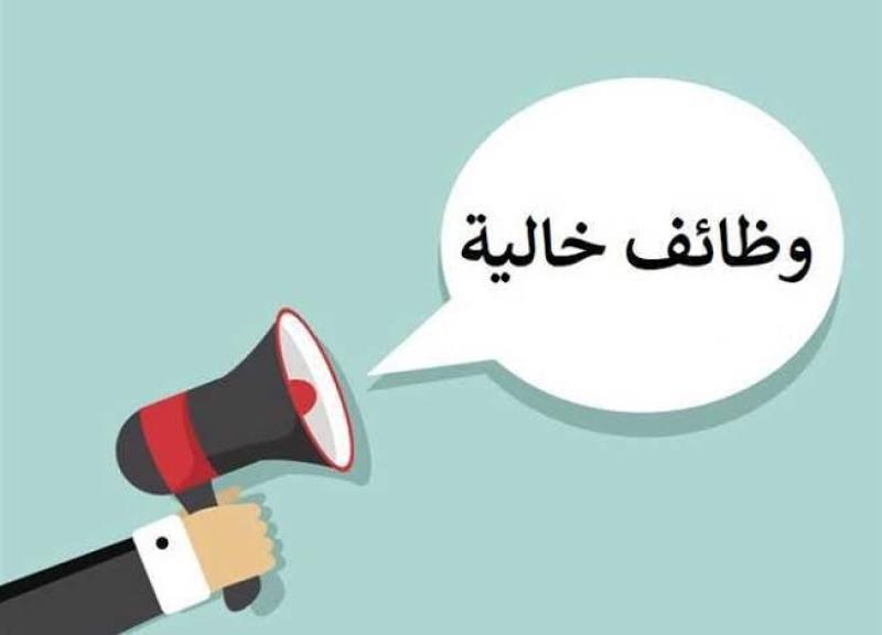 وظائف الشباب والرياضة.. التخصصات والشروط وكيفية التقديم