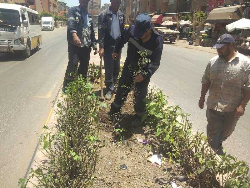 محافظ كفرالشيخ: استمرار زراعة الأشجار بدسوق ضمن المبادرة الرئاسية 100 مليون شجرة