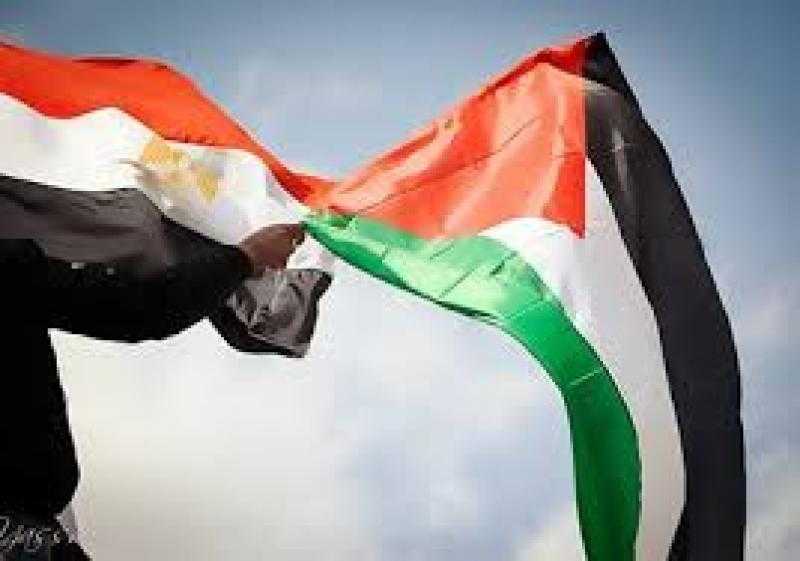 خبير علاقات دولية: القضية الفلسطينية في قلب أجندة السياسة الخارجية المصرية