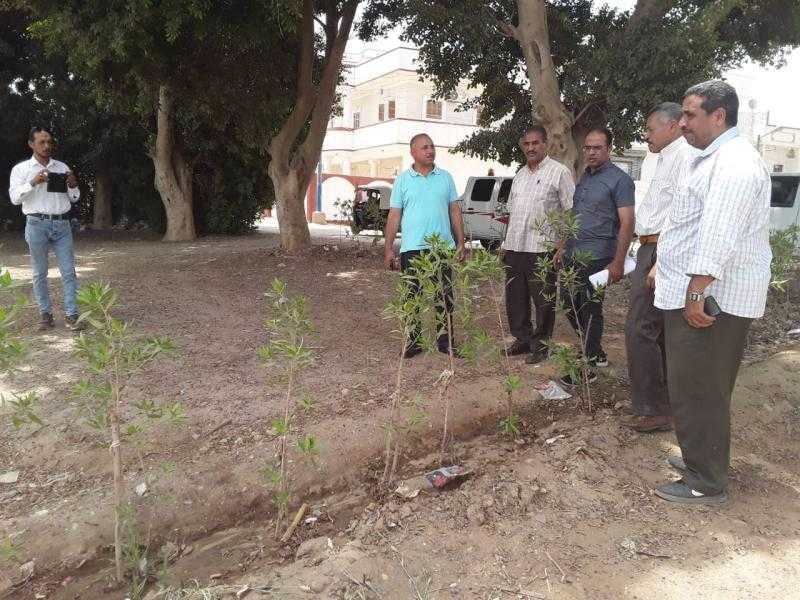 محافظ أسيوط: استمرار تنفيذ أعمال تشجير وزراعة شتلات بمركز ديروط ضمن مبادرة زراعة 100مليون شجرة