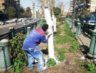 محافظ القاهرة: سوف أهتم بالتشجير.. ومواجهة التعديات على المسطحات الخضراء