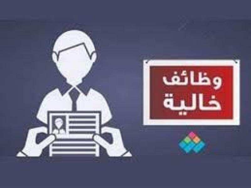 طريقة التقديم في وظائف الشباب و الرياضة.. والتخصصات المطلوبة