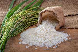 شيكارة الرز بكام.. أسعار الأرز اليوم الإثنين عند التاجر