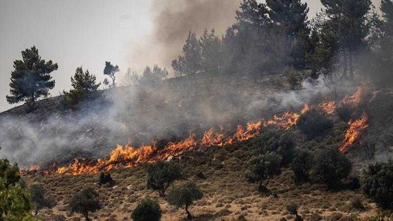 جنوب جنين .. مستوطنون يحرقون مساحات واسعة من الأراضي