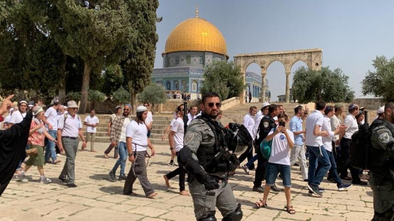 على التوالي.. مستوطنون يهاجمون المسجد الأقصى