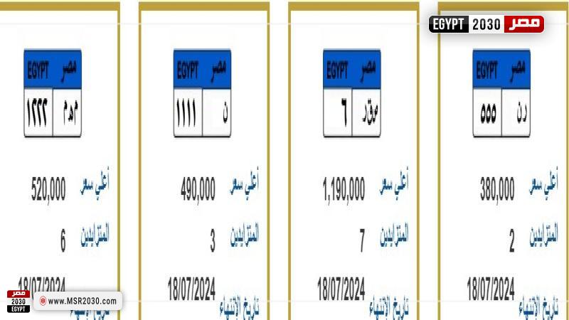 صقر بـ 1.2 مليون جنيه .. الداخلية تطرح لوحات معدنية مميزة 