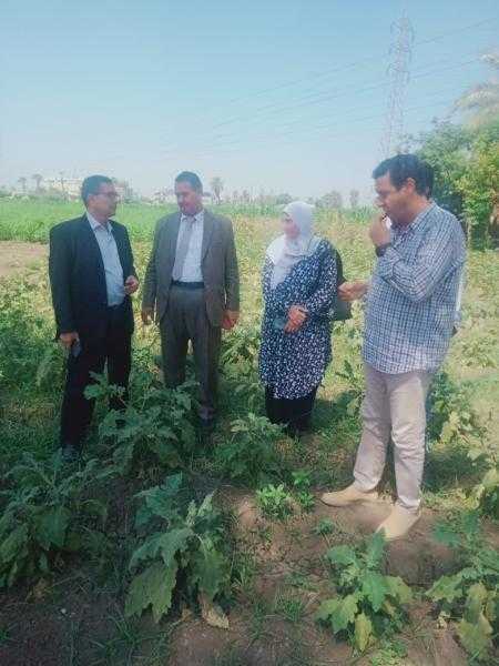 الزراعة تكثف النشاط الإرشادي لمواجهة التغيرات المناخية في القليوبية وتتفقد المحاصيل الصيفية