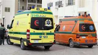 مصرع وإصابة 8 أشخاص في حادث بكفر الشيخ