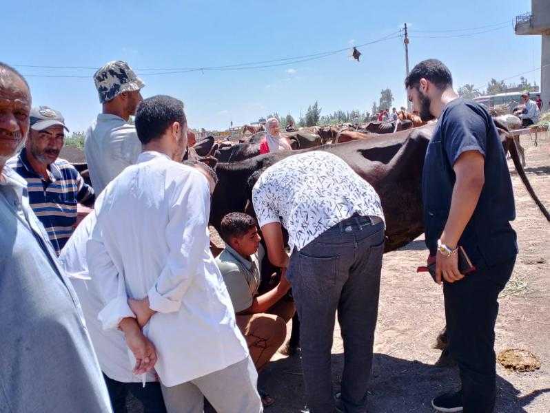 جامعة كفر الشيخ تطلق قافلة بيطرية لقرية الحلمية ضمن المبادرة الرئاسية حياة كريمة