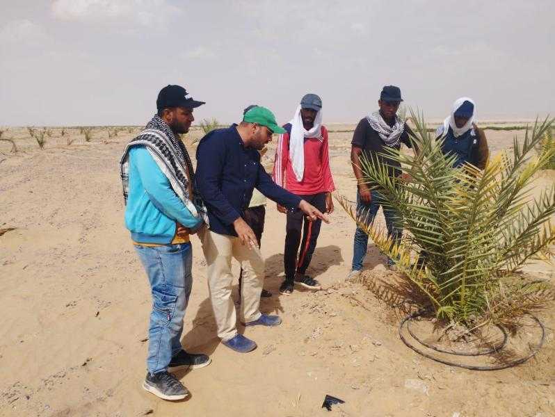 الزراعة : معمل أبحاث النخيل يستقبل المدير التنفيذي للمجلس الدولي للتمور