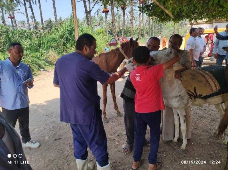 الزراعة تطلق قافلة بيطرية مجانية بمحافظة الاسماعيلية