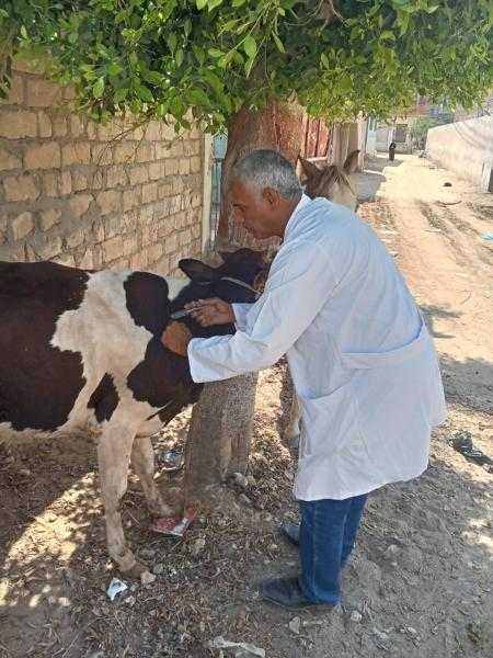 جامعة الزقازيق توجه قافلة بيطرية لقرية الغوارنة بمركز أبو حماد بالشرقية