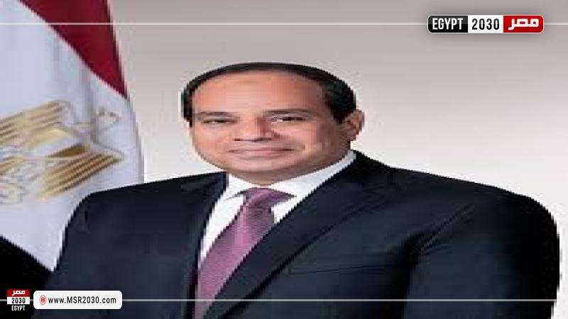 الرئيس السيسي 